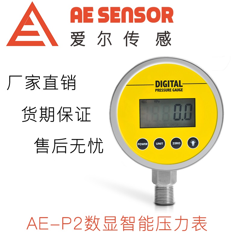 愛爾傳感AE-P2智能數字壓力表