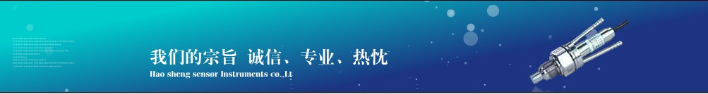 佛山市順德區昊勝傳感儀器有限公司
