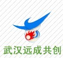 武漢遠程集團