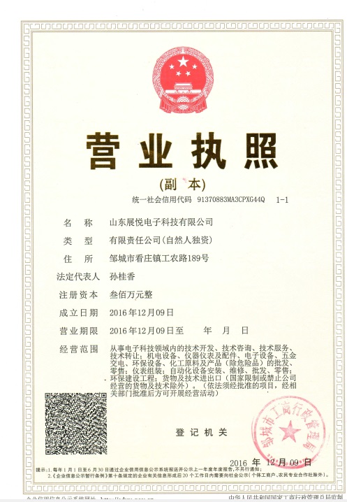 山東展悅電子科技有限公司