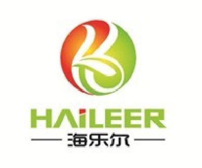 上海輝建實(shí)業(yè)有限公司