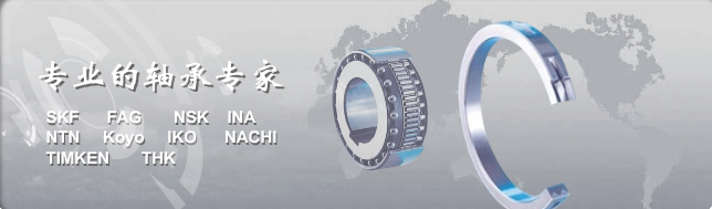 深圳市比爾斯頓軸承有限公司
