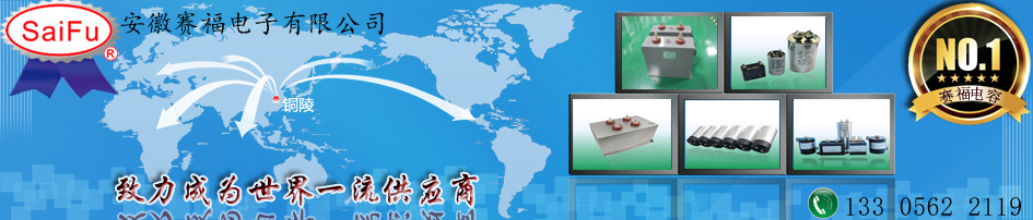 安徽賽福電子有限公司