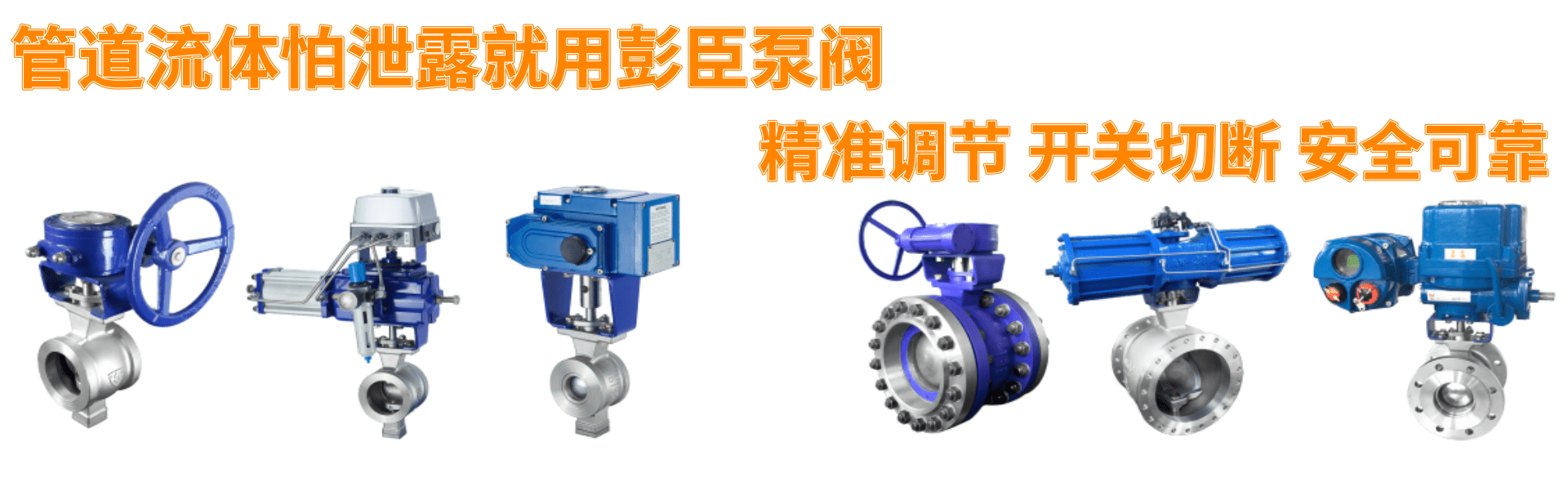 上海彭臣泵閥有限公司