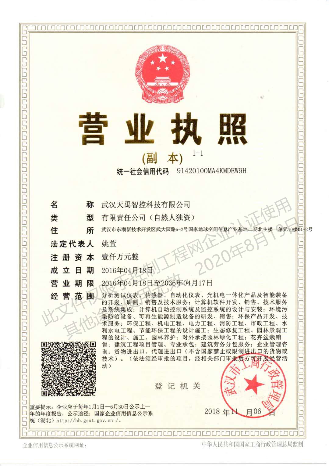 武漢天禹智控科技有限公司