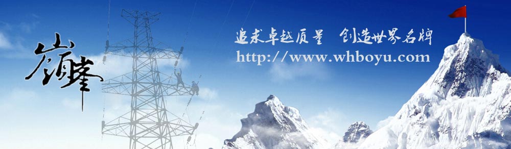 武漢博宇電力設備有限公司