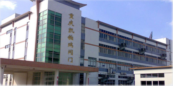 重慶凱鉑瑞閥門有限公司