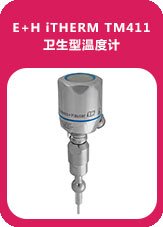 E+H iTHERM TM411衛生型溫度計